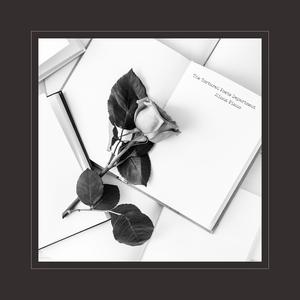 y1uan大家庭2024小说
